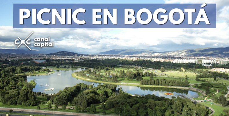 plantilla noticias plantilla noticias