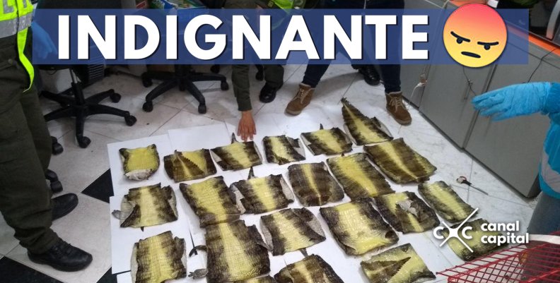 plantilla noticias ok arriba plantilla noticias ok arriba