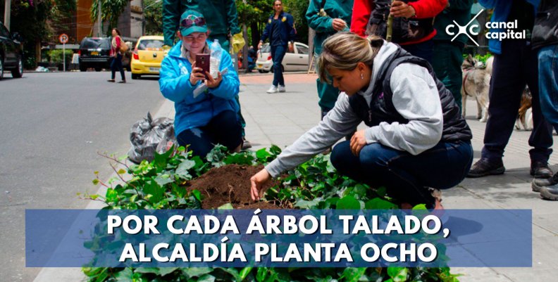 enrique-peñalosa-suspension-tala-arboles enrique-peñalosa-suspension-tala-arboles