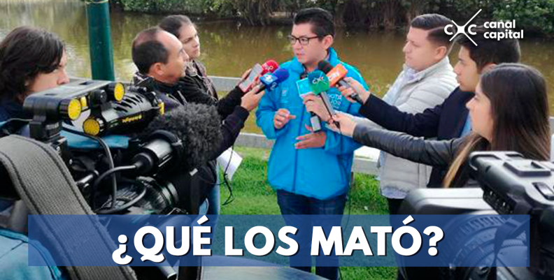 ¿Qué-los-mató- ¿Qué-los-mató-