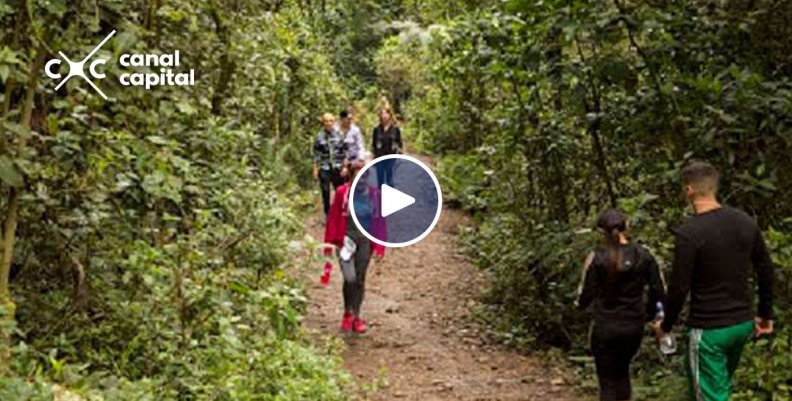 quebrada quebrada