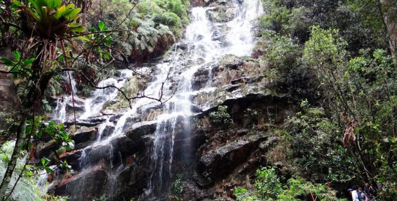 QUEBRADA LAS DELICIAS (OBSERVATORIO AMBIENTAL) QUEBRADA LAS DELICIAS (OBSERVATORIO AMBIENTAL)