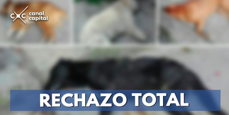 RECHAZO-TOTAL RECHAZO-TOTAL