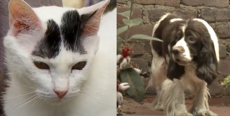 rolo y chata rolo y chata