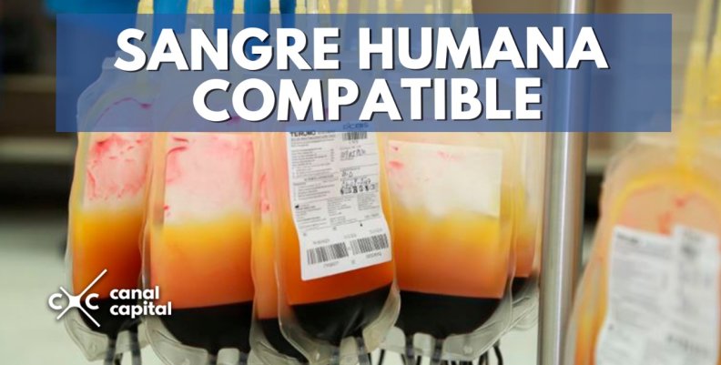 sangre-humana sangre-humana