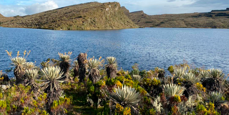SUMAPAZ 2 SUMAPAZ 2