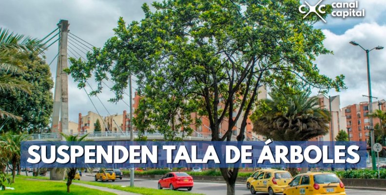 TALA TALA