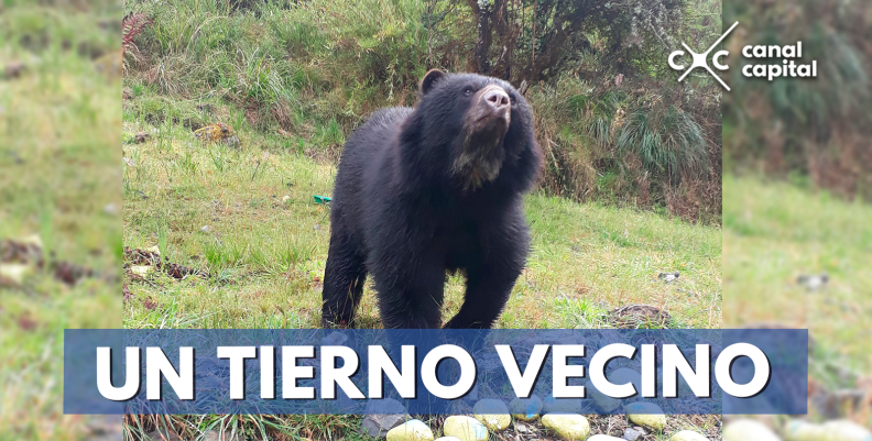 tierno-vecino tierno-vecino