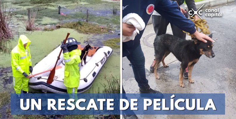 Un-rescate-de-película Un-rescate-de-película