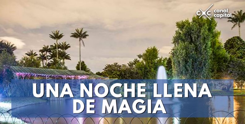 Una-noche-llena-de-magia- Una-noche-llena-de-magia-