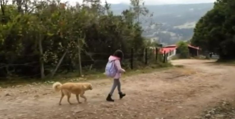 Caminado al colegio Caminado al colegio