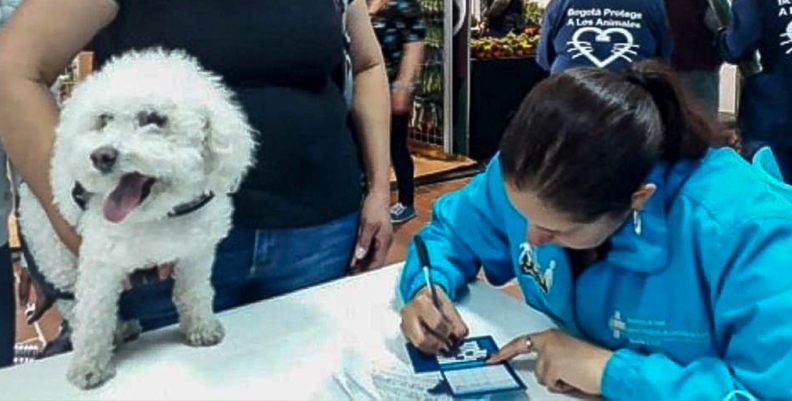 vacunación de mascotas vacunación de mascotas