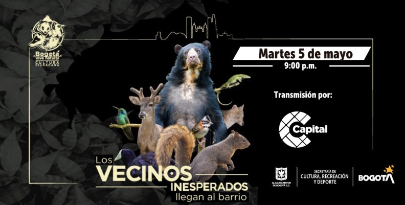 VECINOS INESPERADOS 3 VECINOS INESPERADOS 3