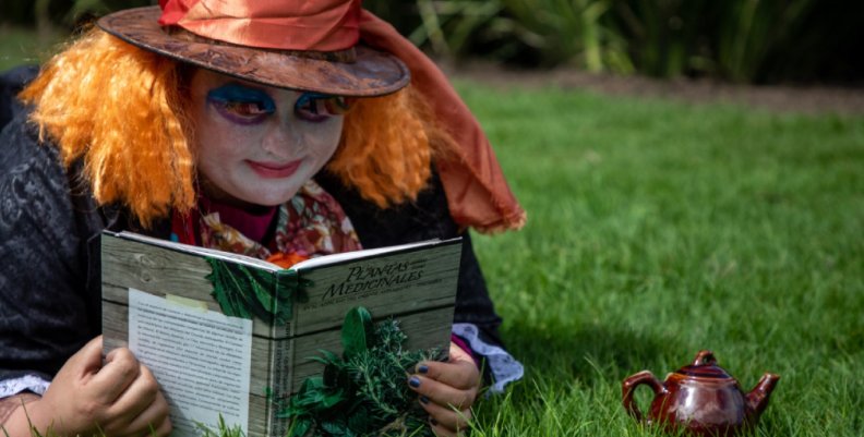 Conoce la programación para el Picnic Literario de este sábado, 12 de marzo Conoce la programación para el Picnic Literario de este sábado, 12 de marzo