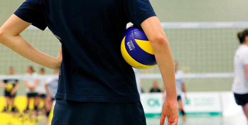 Voley Voley