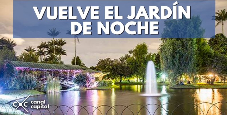 VUELVE-EL-JARDÍN-DE-NOCHE VUELVE-EL-JARDÍN-DE-NOCHE