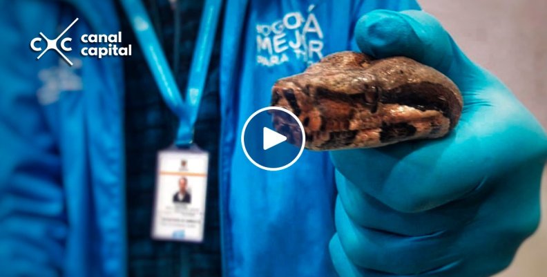 boa boa