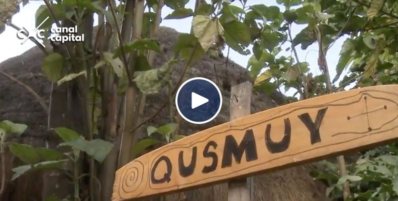 muisca muisca