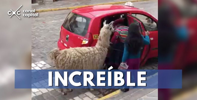 Perú Perú
