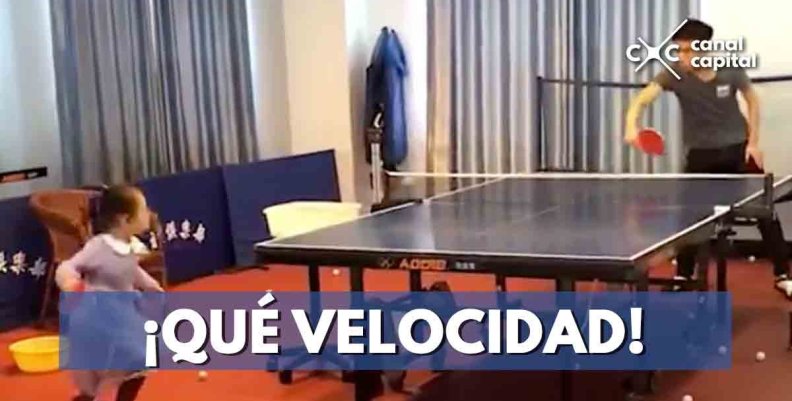 ping-pong ping-pong