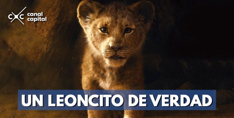 trailer-el-rey-leon trailer-el-rey-leon