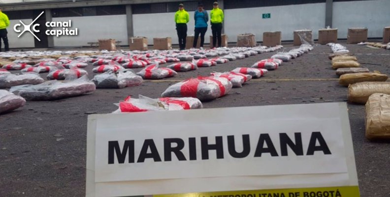 Incautan marihuana Incautan marihuana