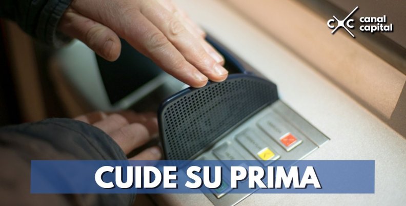 Prima Navideña Prima Navideña