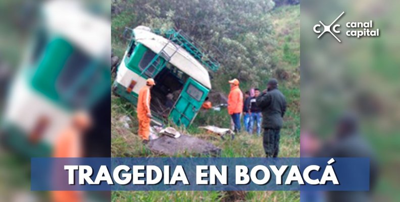 bus bus