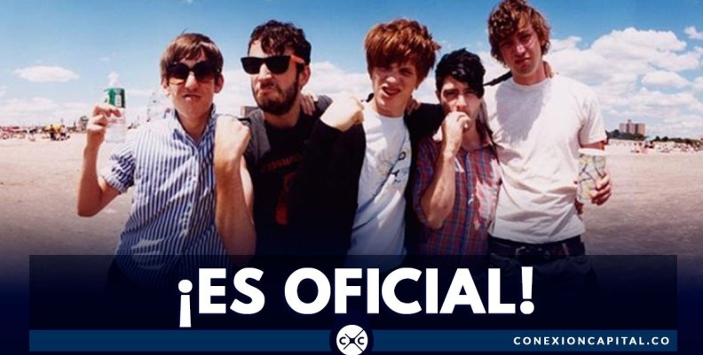 foals foals