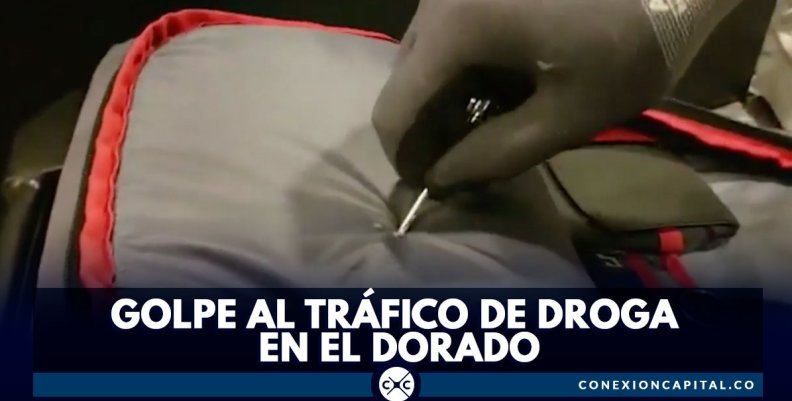 trafico trafico