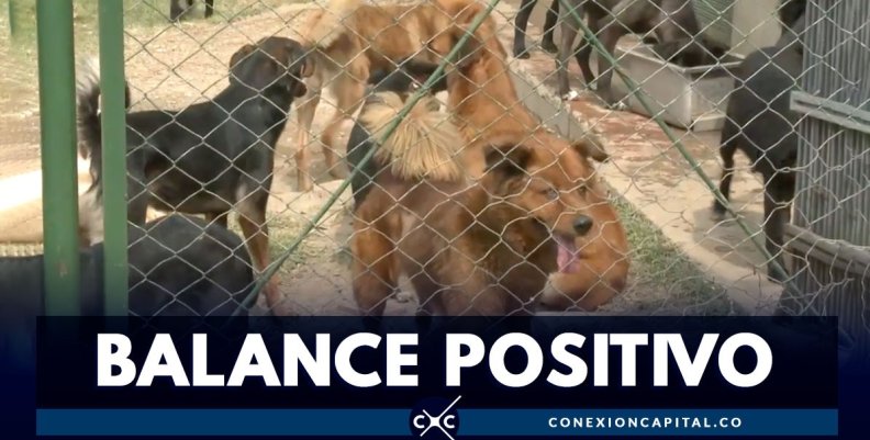 balance-positivo balance-positivo