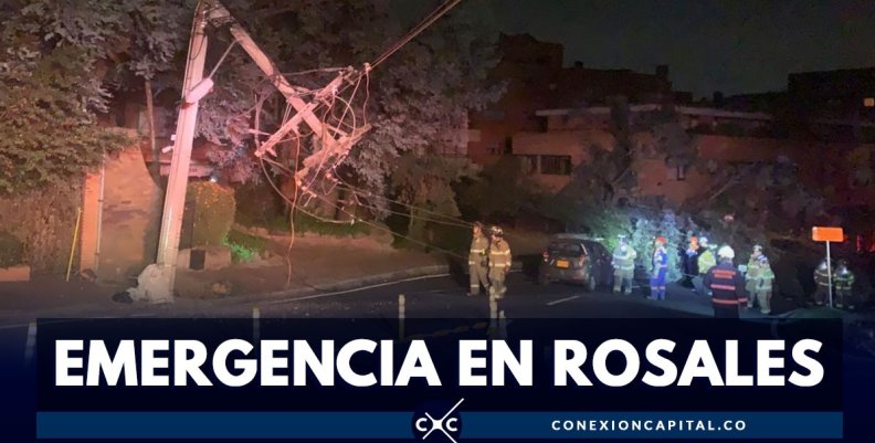rosales rosales