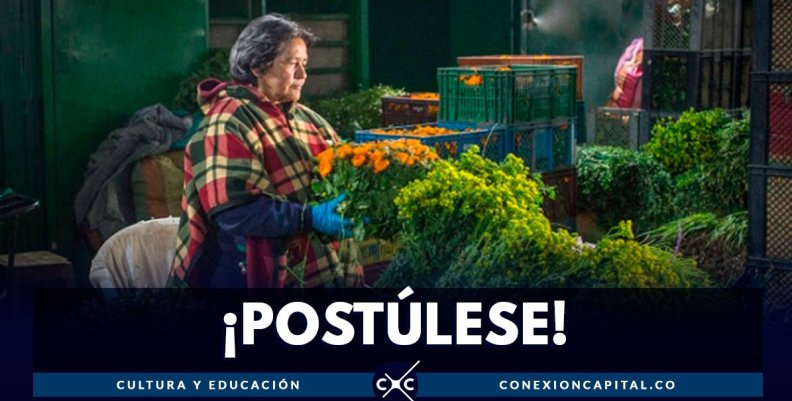 convocatoria convocatoria