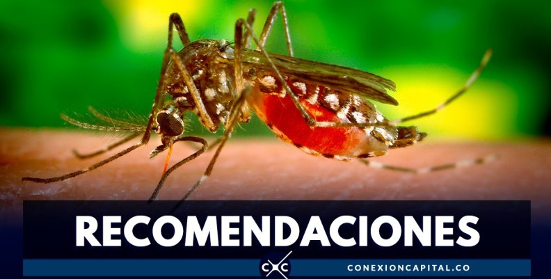 Dengue Dengue