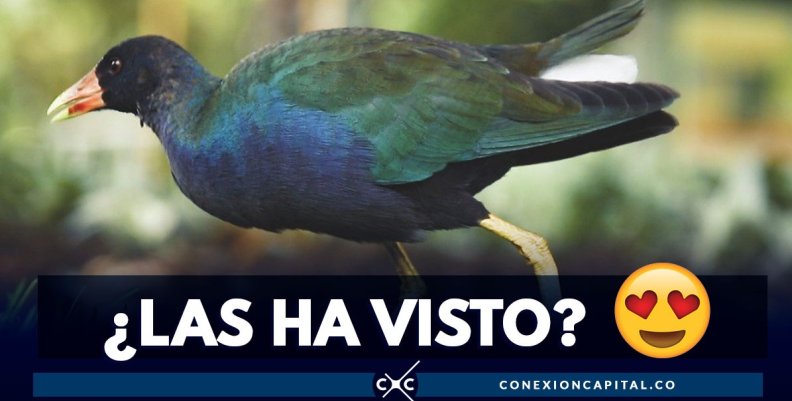 WhatsApp Image 2019-03-21 at 3.42.42 PM WhatsApp Image 2019-03-21 at 3.42.42 PM