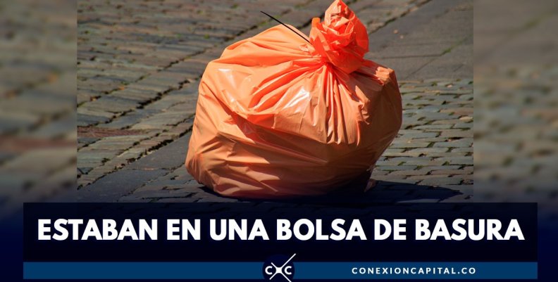 anmales-muertos-bolsa-basura anmales-muertos-bolsa-basura