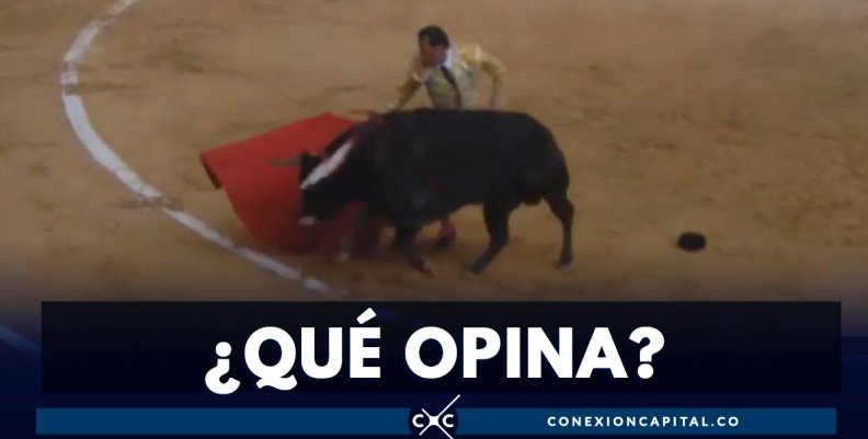 Corridas de toros Corridas de toros