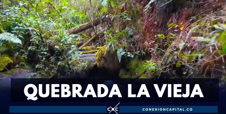Quebrada La Vieja Quebrada La Vieja