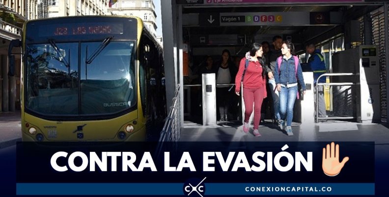 estrategia-anticolados estrategia-anticolados