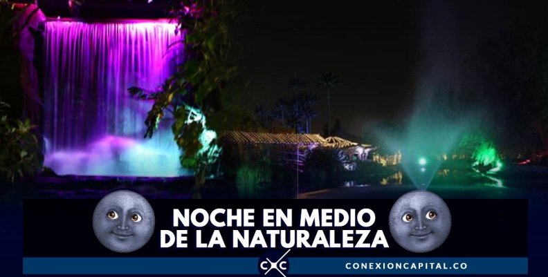 jardin-noche-jardin-botanico jardin-noche-jardin-botanico