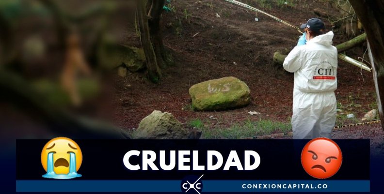 perro-ahorcado-usme perro-ahorcado-usme