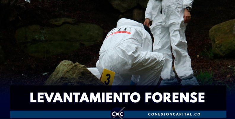 servivios-forenses-mascotas servivios-forenses-mascotas