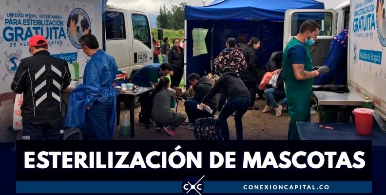 esterilizacionbogota2019julio esterilizacionbogota2019julio