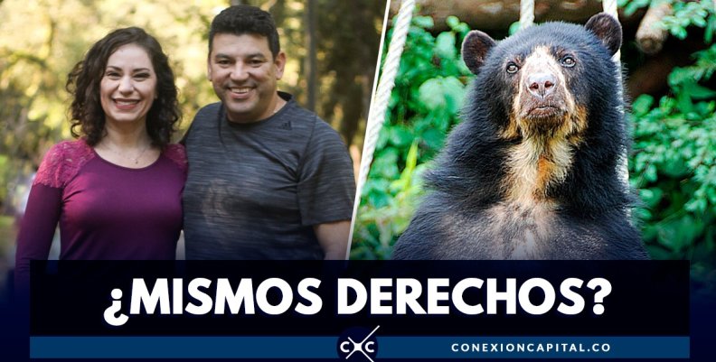 derechos de los animales derechos de los animales