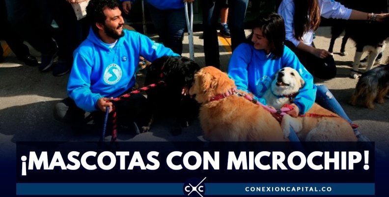 Jornada mascotas Jornada mascotas