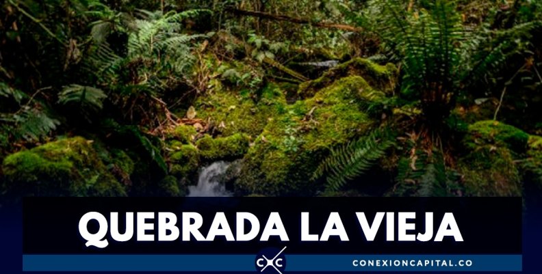 Quebrada La Vieja Quebrada La Vieja
