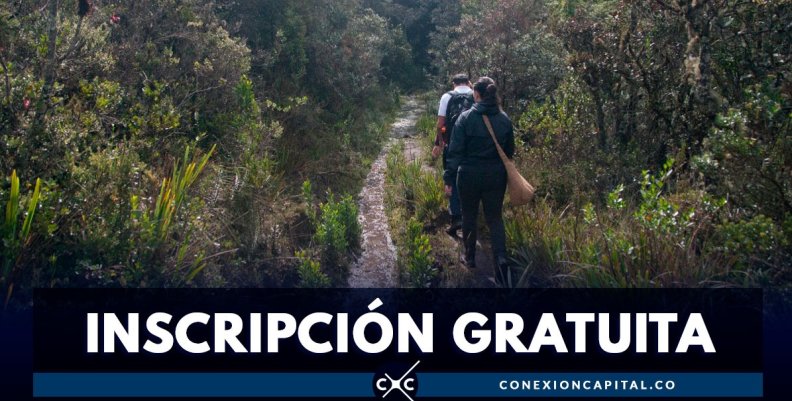 recorridos-guiados recorridos-guiados