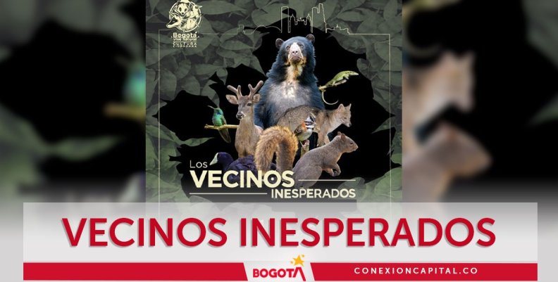 Proyección de Vecinos Inesperados Proyección de Vecinos Inesperados