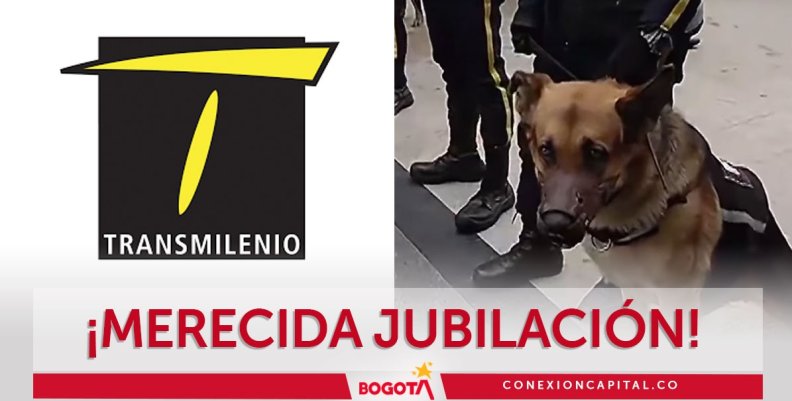 Perros de vigilancia se retiran de las estaciones de TransMilenio Perros de vigilancia se retiran de las estaciones de TransMilenio