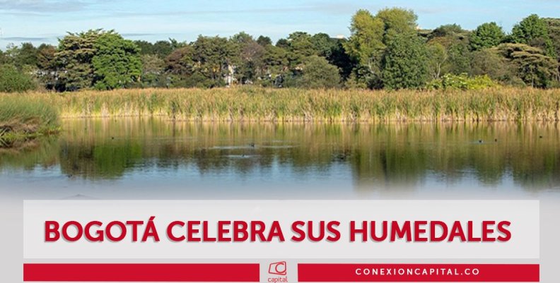 Día Mundial de los Humedales Día Mundial de los Humedales